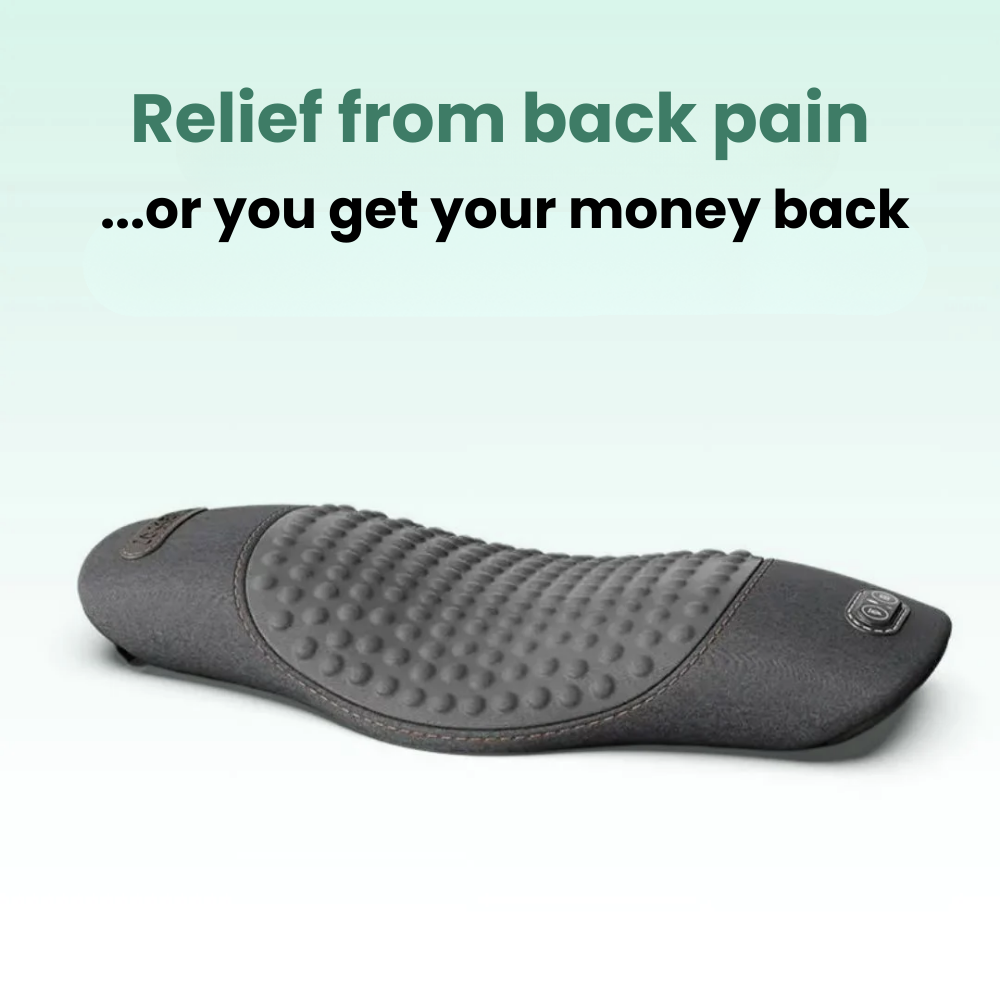 BackFlow 3-in-1 Back Massager