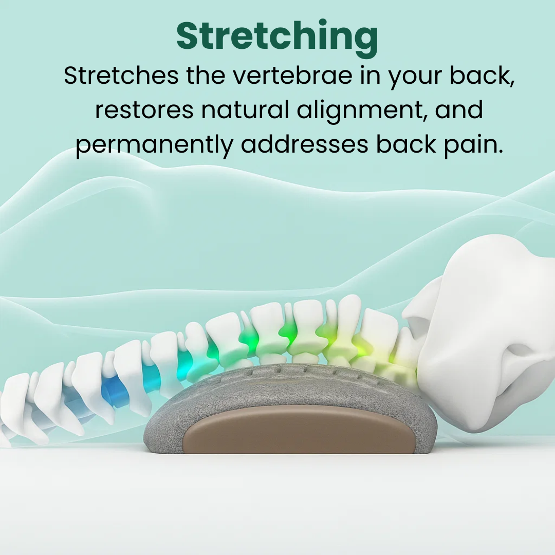 BackFlow 3-in-1 Back Massager