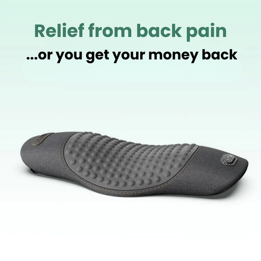 BackFlow 3-in-1 Back Massager