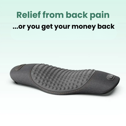 BackFlow 3-in-1 Back Massager